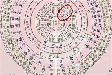 八字 神煞 查詢|八字命运